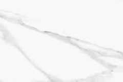 emil_tele_di_marmo_statuario_michelangelo