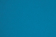 equipe_scale_electric_blue