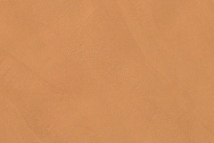 fap_color_now_curcuma