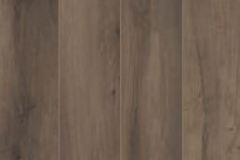 imola_kuni_brown