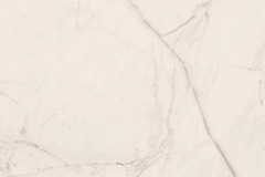lafaenza_trex3_white