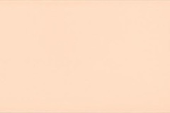 recer_new_neutrals_coral